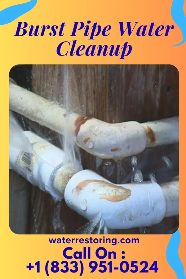 Burst Pipe Water Cleanup in Newhall, IA