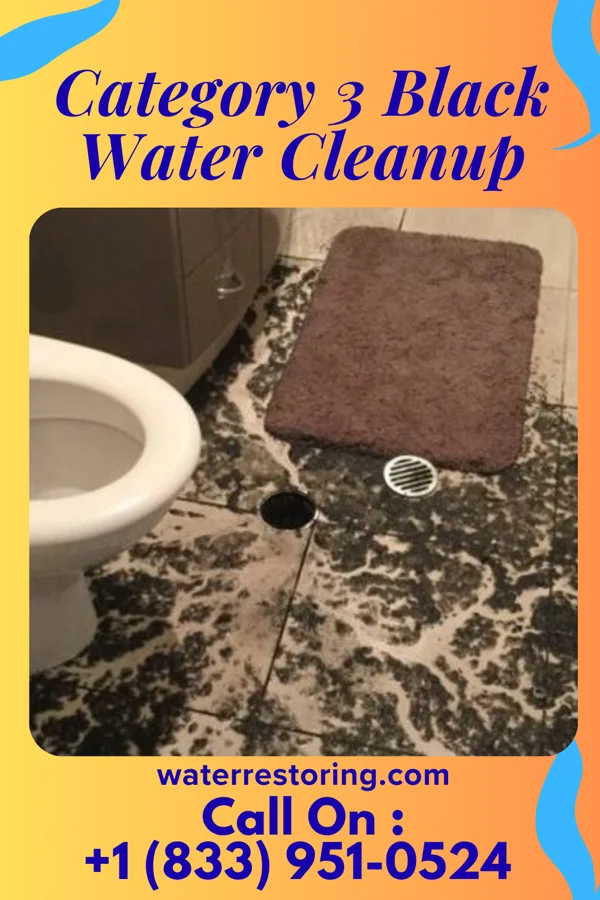 Category 3 Black Water Cleanup in Newhall, IA
